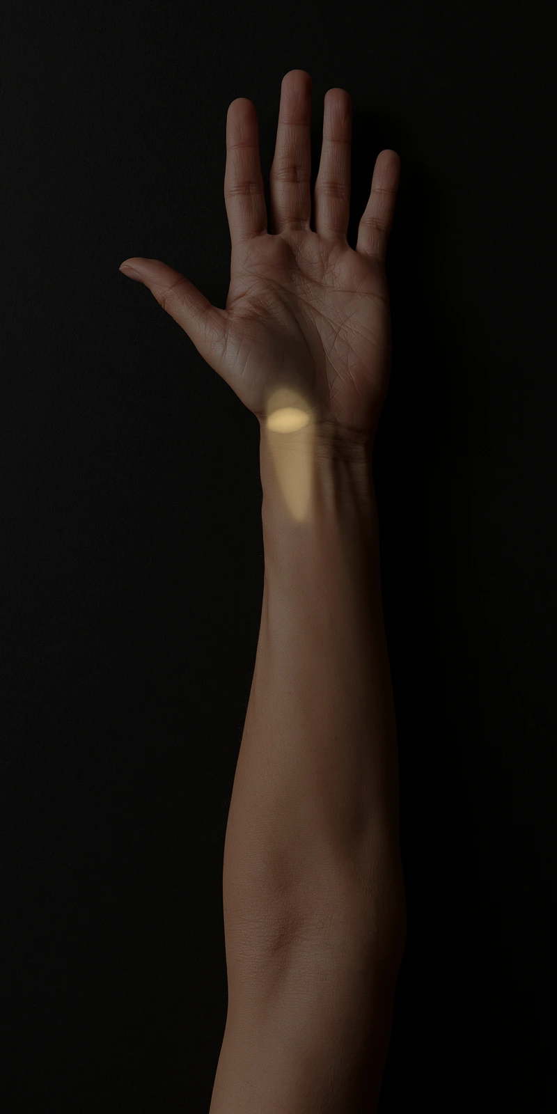 Referral pattern of the flexor carpi radialis on a palmar close-up