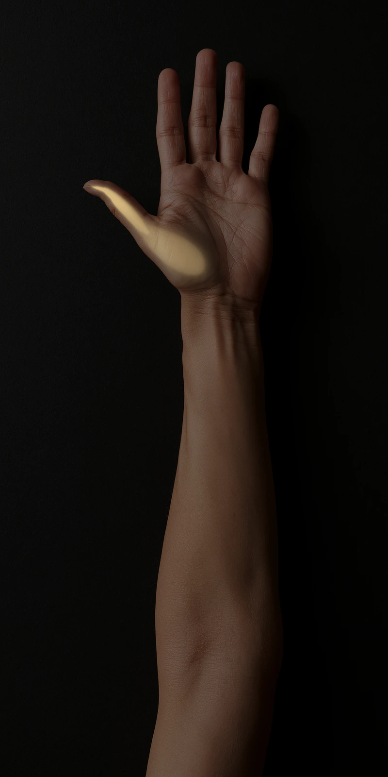 Referral pattern of the flexor pollicis longus on a palmar close-up
