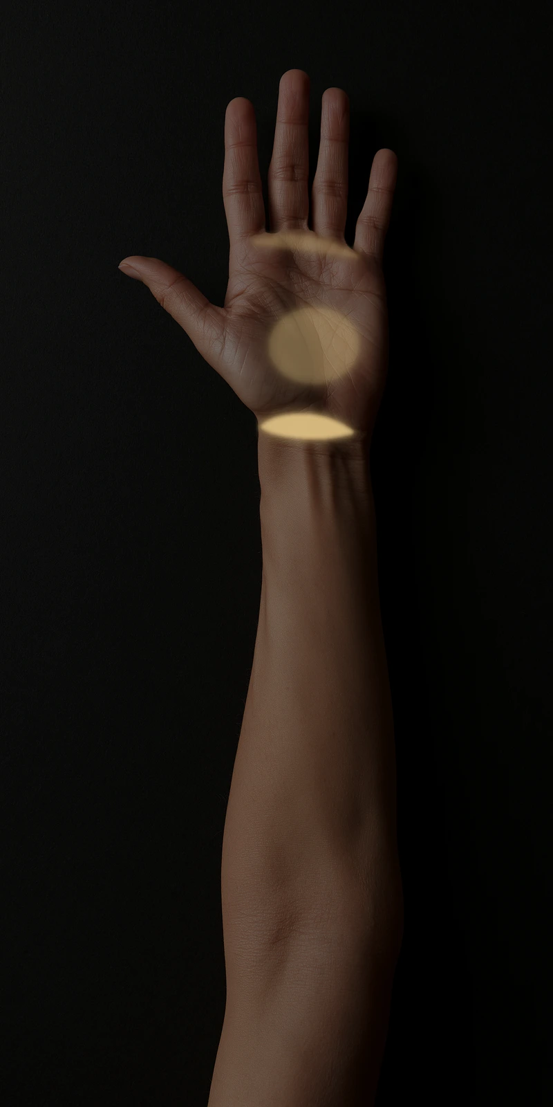 Palm close-up. Forearm flexor referral pattern at the wrist crease, across the palm, and at the base of the fingers.