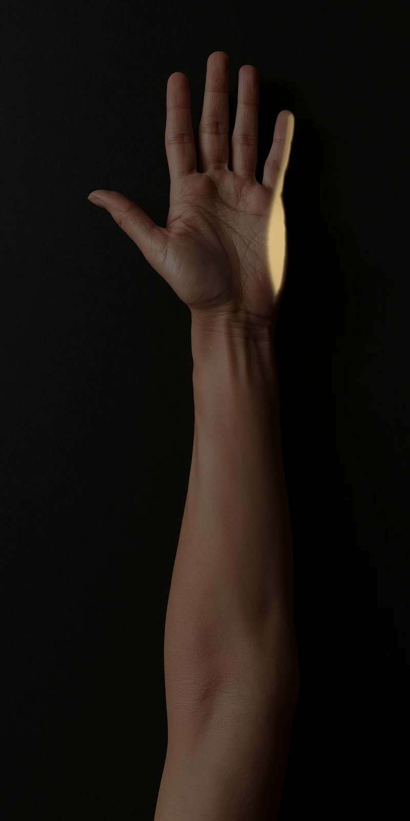 Referral pattern of the hypothenar muscles on a palmar close-up