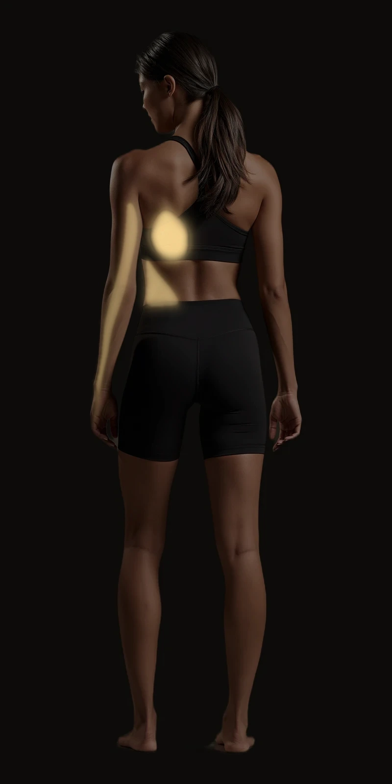 Referral pattern of the latissimus dorsi highlighted on a posterior figure