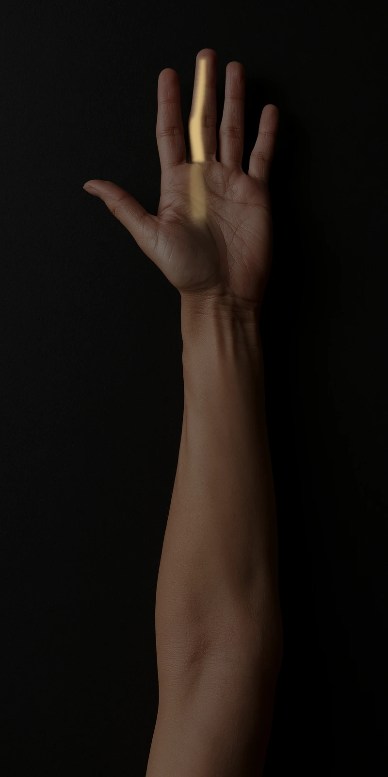 Referral pattern of the lumbricals of the hand on a palmar close-up