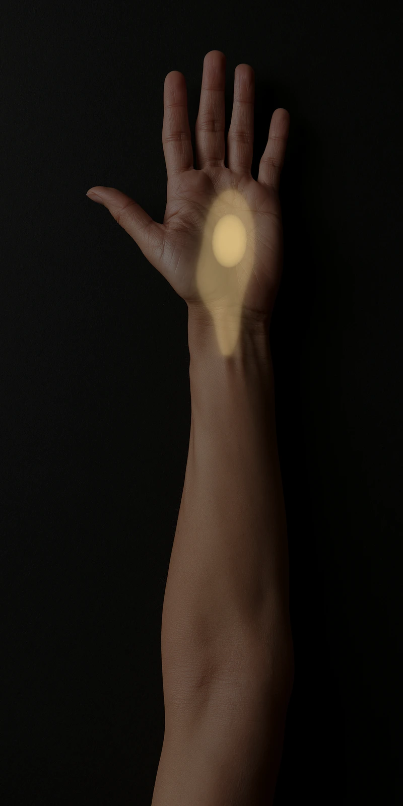 Referral pattern of the palmaris longus on a palmar close-up