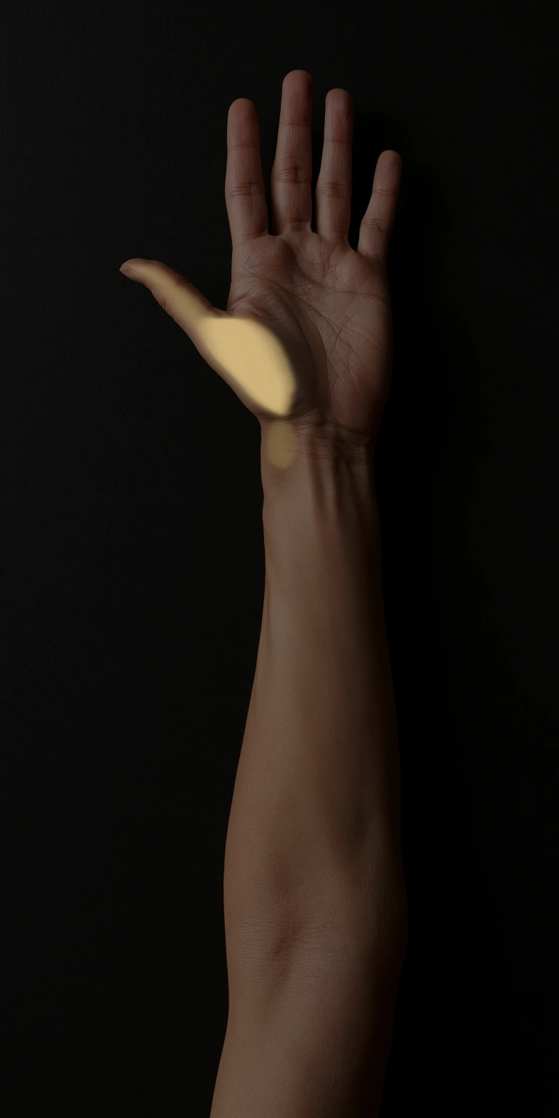 Referral pattern of the thumb muscles on a palmar close-up