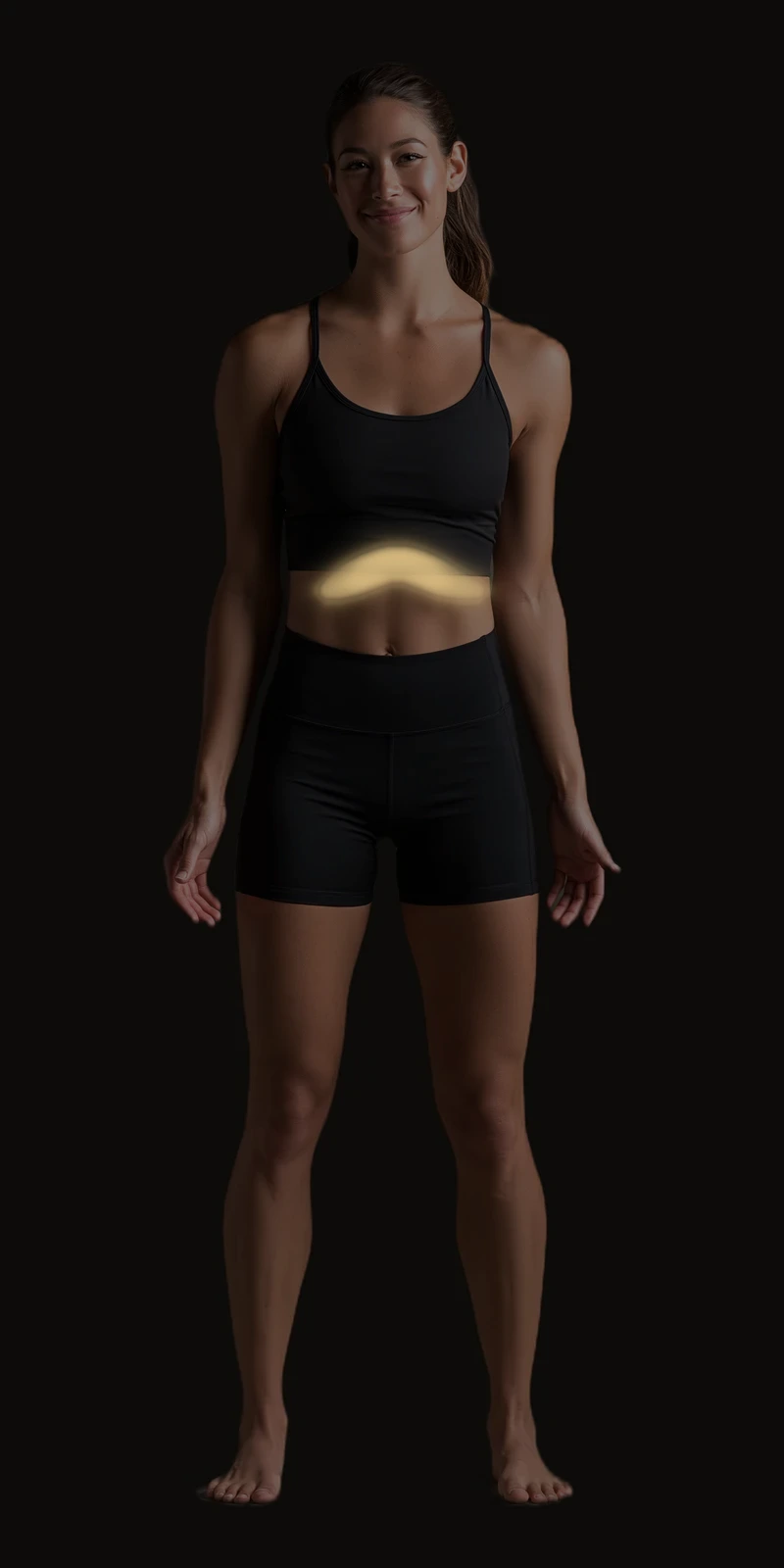 Referral pattern of the transversus abdominis highlighted on an anterior figure